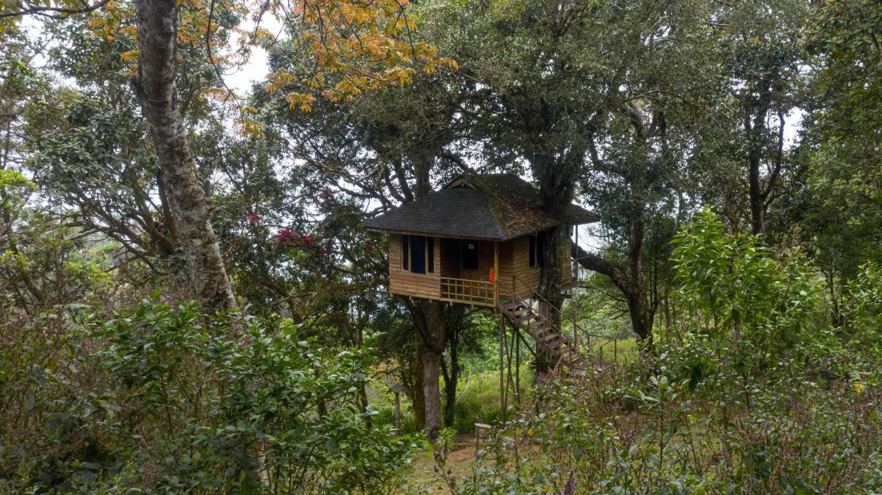 Nature Zone Jungle Resort Munnar Exteriér fotografie