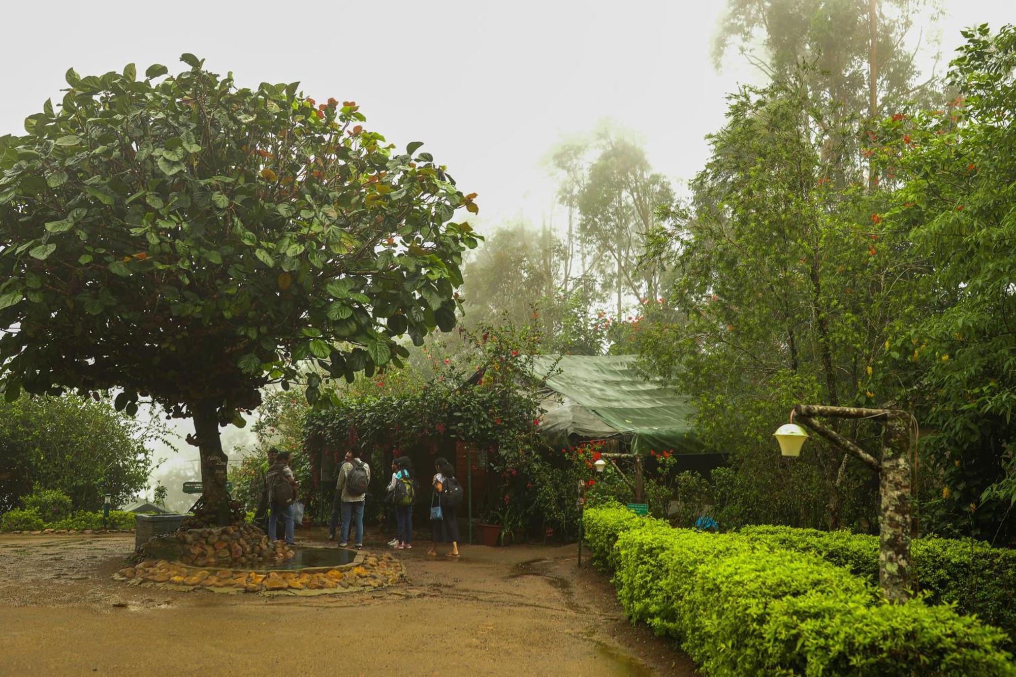 Nature Zone Jungle Resort Munnar Exteriér fotografie